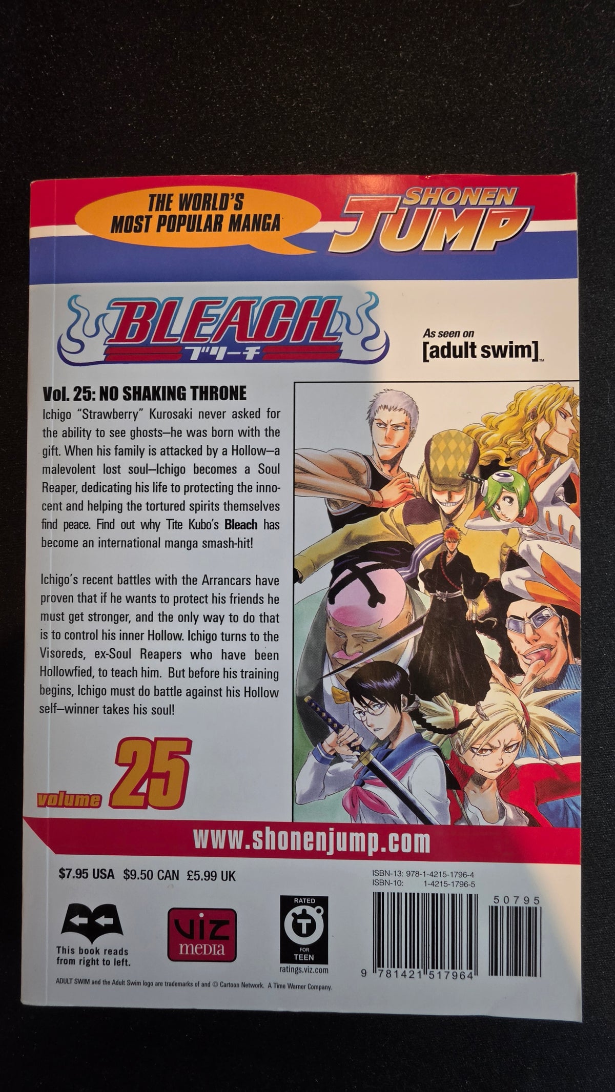 Bleach Volume 25 preowned actual copy back