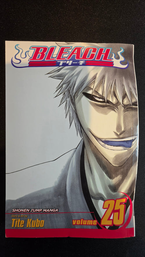 Bleach Volume 25 preowned actual copy front