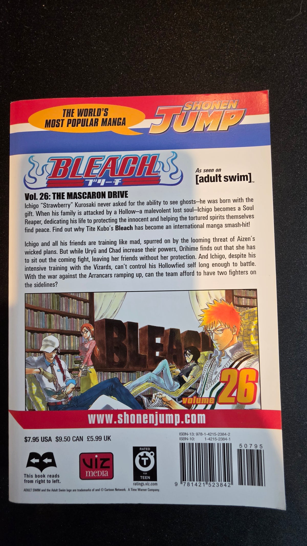 Bleach Volume 26 preowned actual copy back