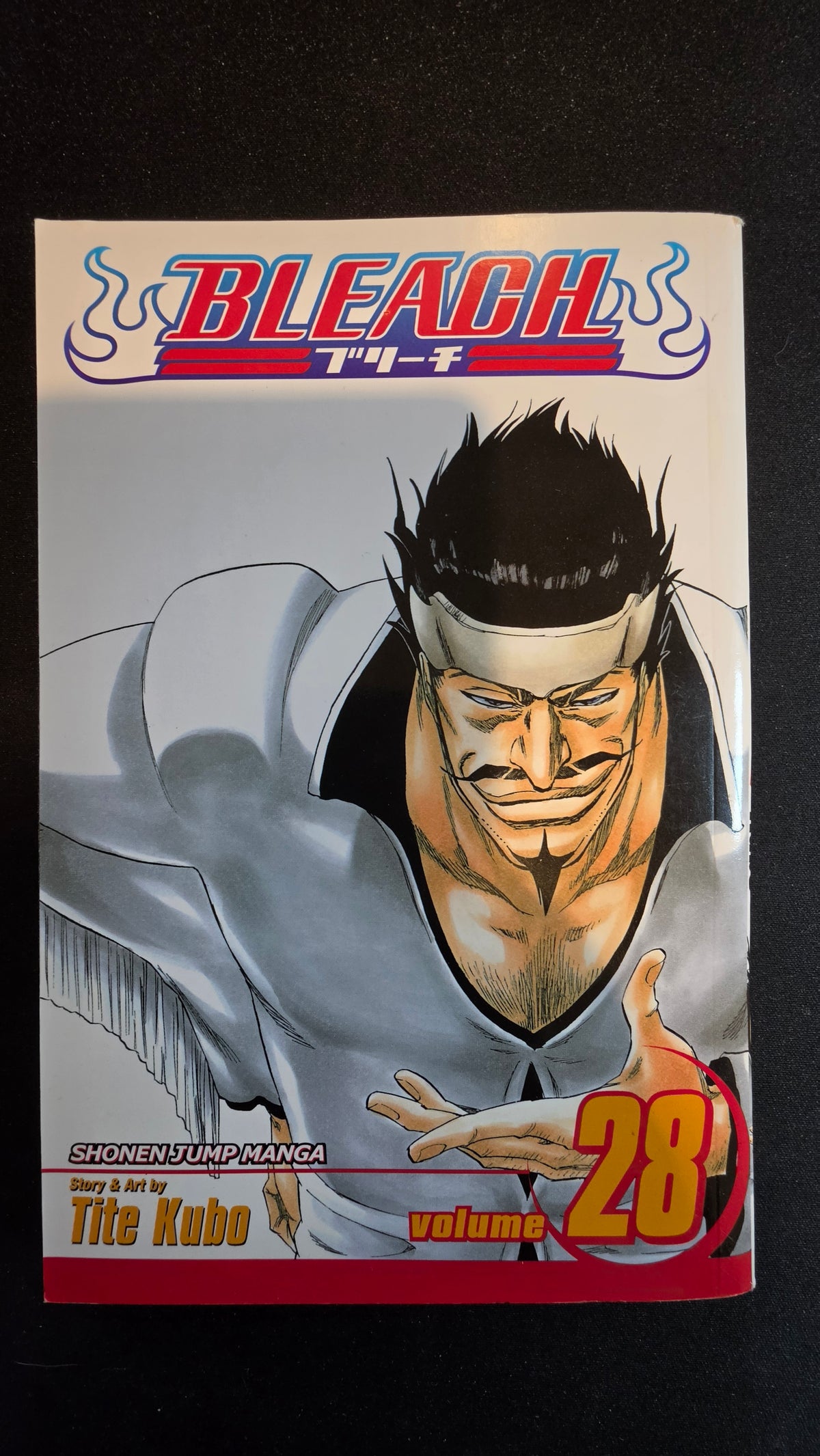 Bleach Volume 28 preowned actual copy front