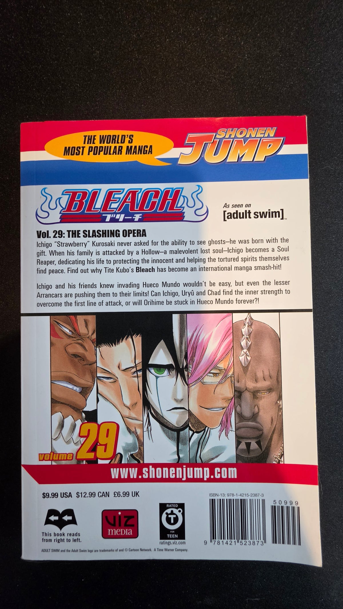 Bleach Volume 29 preowned actual copy back
