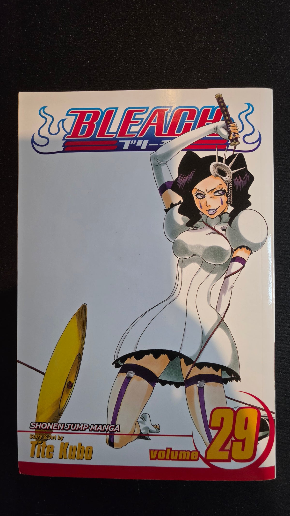 Bleach Volume 29 preowned actual copy front