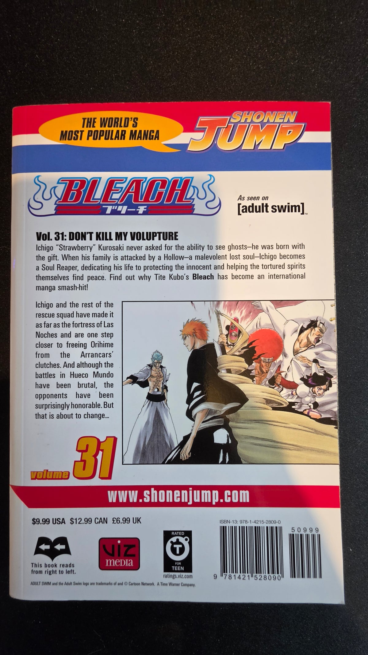 Bleach Volume 31 preowned actual copy back