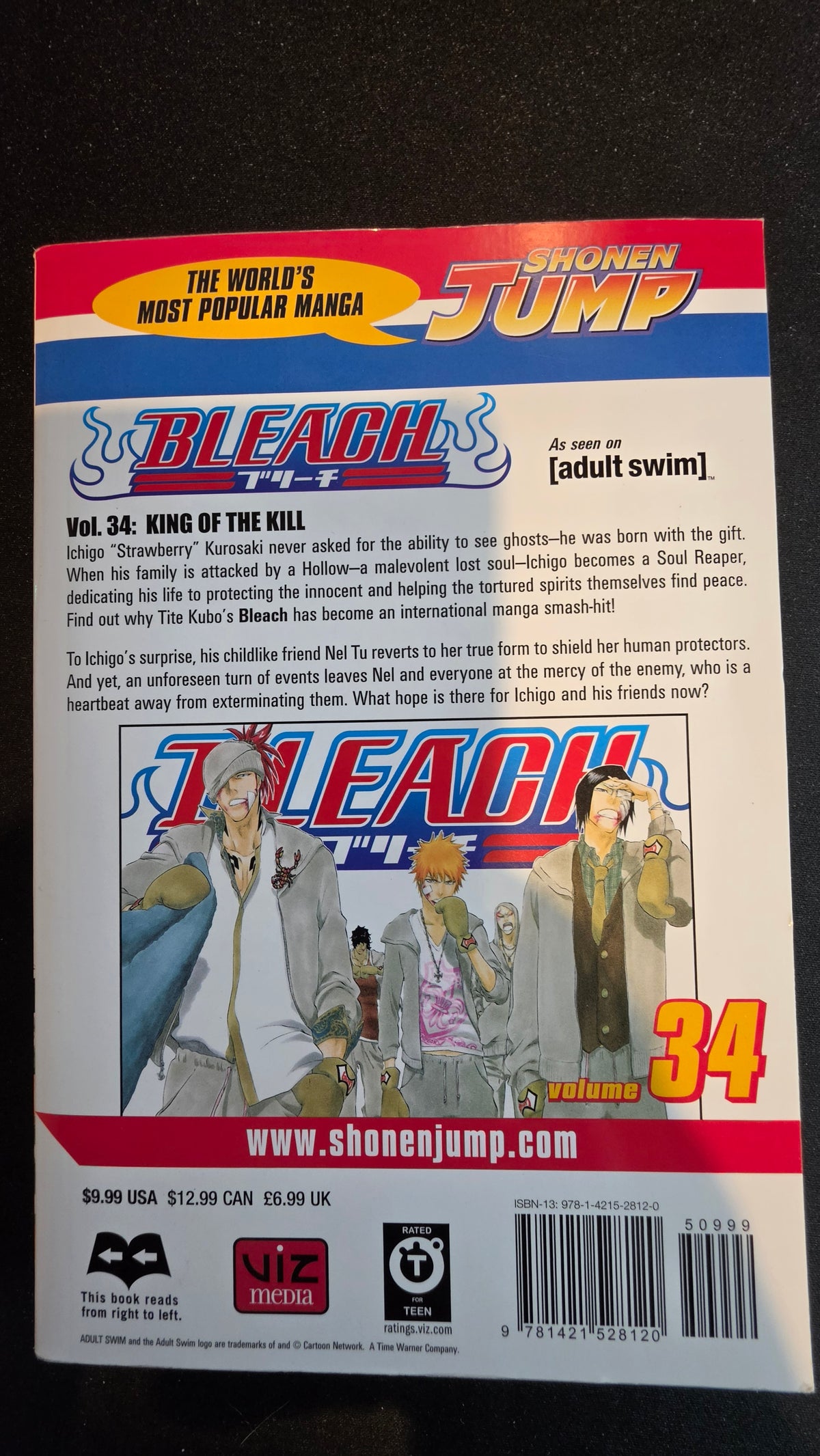 Bleach Volume 34 preowned actual copy back