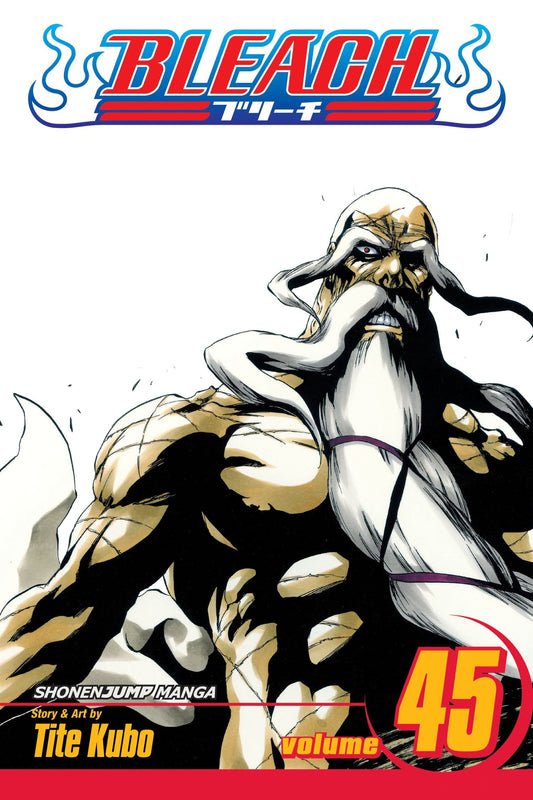 Bleach, Vol. 45 : The Burnout Inferno Volume 45-9781421542980