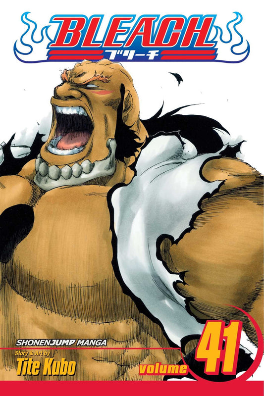 Bleach, Vol. 41 : Heart Volume 41-9781421541389