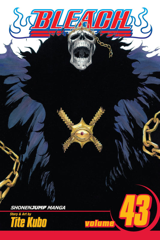 Bleach, Vol. 43 : Kingdom of Hollows Volume 43-9781421542966