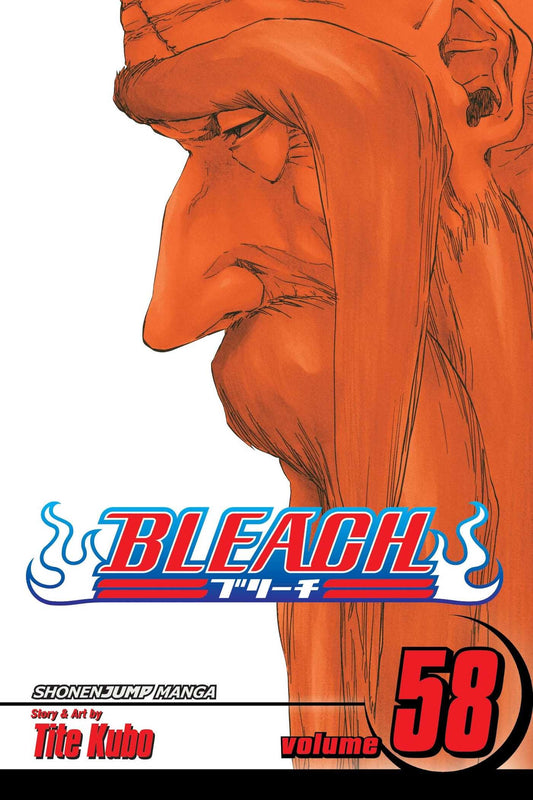Bleach, Vol. 58 : The Fire Volume 58-9781421561356