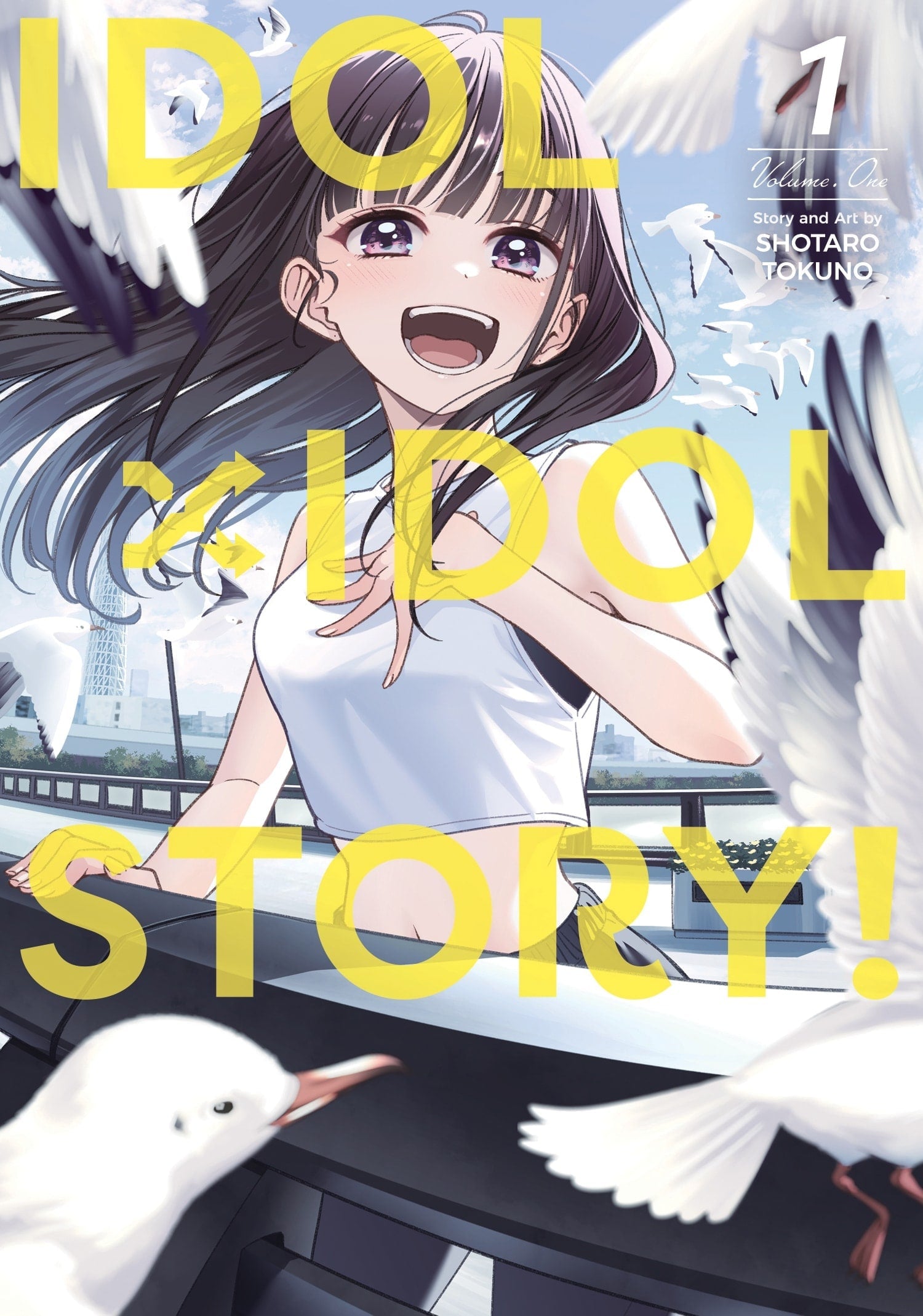 IDOL x IDOL STORY! Vol. 1 English Manga cover