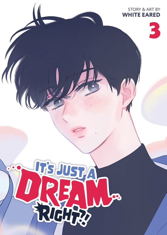 It’s Just a Dream… Right?! (Comic) Vol. 3 English BL Manhwa Korean Manga Comic cover