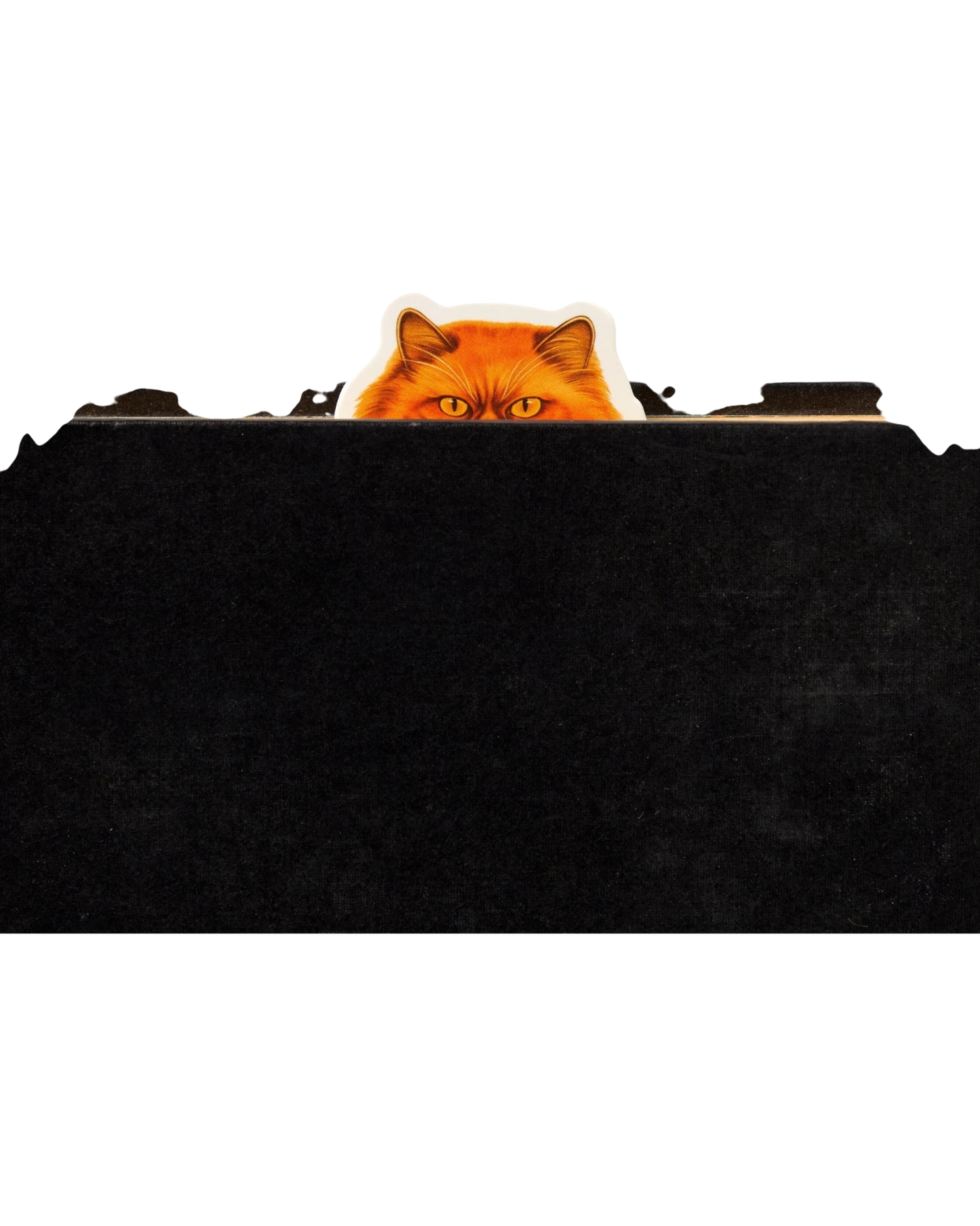 Ripperholics Moody Cats magnetic bookmark featuring a grumpy orange cat peeking over a black page edge