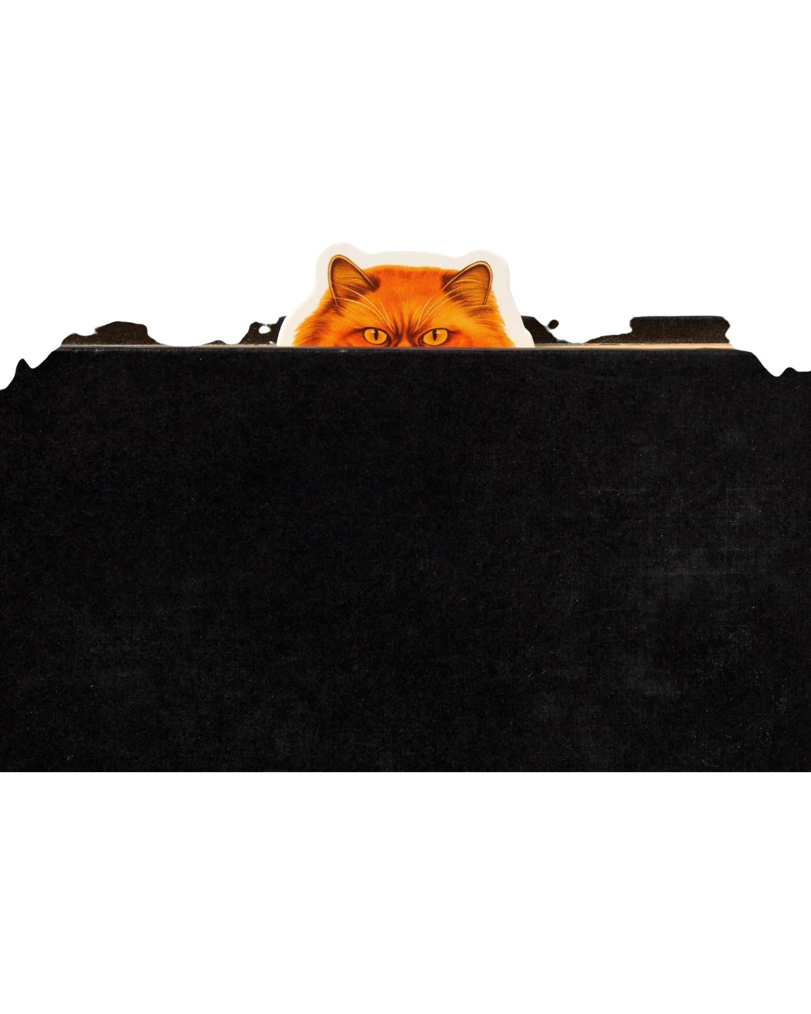 Ripperholics Moody Cats magnetic bookmark featuring a grumpy orange cat peeking over a black page edge