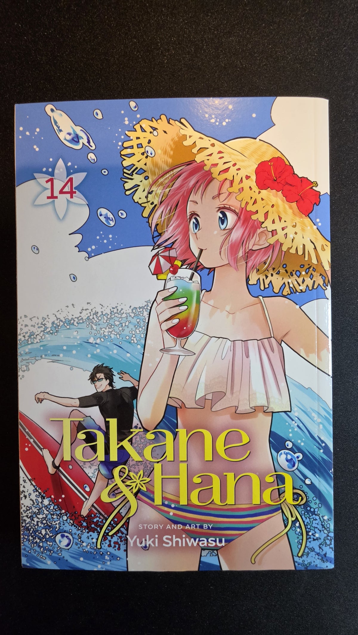 Takane & Hana Volume 14 preowned actual copy front